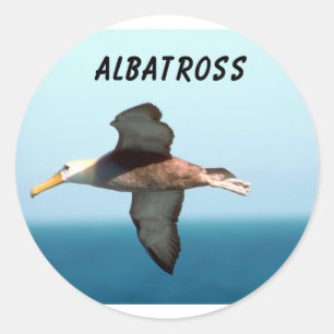 Adesivo Albatross Voando