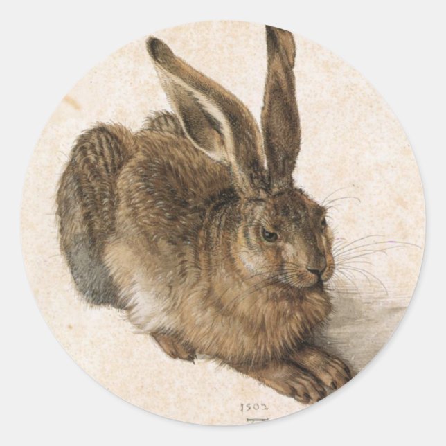 Adesivo Albrecht Dürer - Junger Hase (Young Hare), 1502 (Frente)