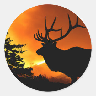 Adesivo Alces