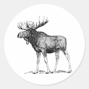 Adesivo Alces