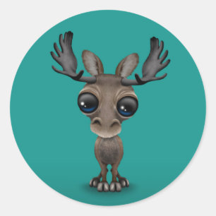 Adesivo Alces curiosos bonitos com os olhos grandes na