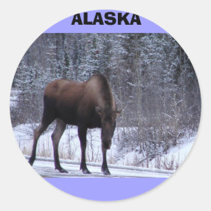 Adesivo Alces de Alaska
