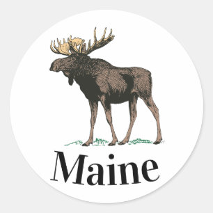 Adesivo Alces de Maine