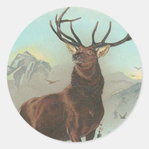 Adesivo Alces premiados