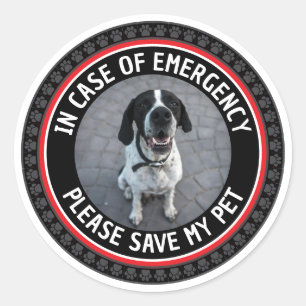 Adesivo ALERTA DE SEGURANÇA DO MEU PET Personalizado Foto 