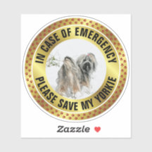 Alerta de Segurança para Animais de Estimação Foto