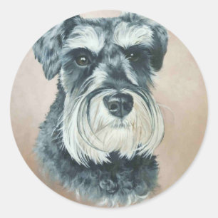 Adesivo Alfie - schnauzer miniatura