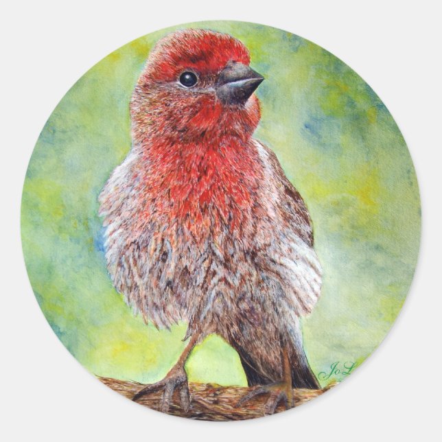 Adesivo Alfinetes (Frente)