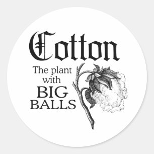ADESIVO ALGODÃO A PLANTA COM GRANDES BOLAS