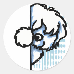 Adesivo Algodão de canto de Tulear