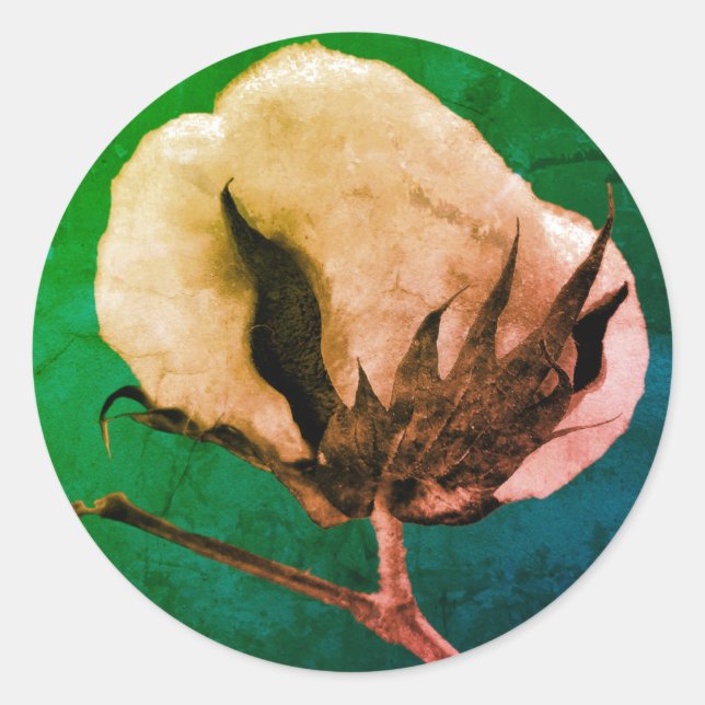 Adesivo Algodão-Pau (Frente)