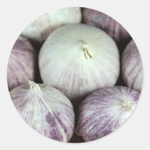 Adesivo Alho de solo