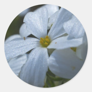 Adesivo Alimentação do ventilador