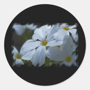 Adesivo Alimentação do ventilador