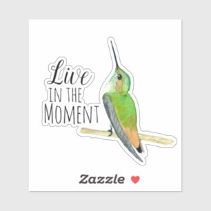 Adesivo Allen's Hummingbird Sticker