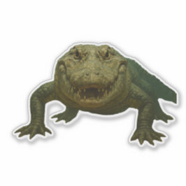 Adesivo Alligator Cut-out Sticker