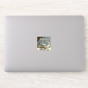Adesivo Alligator Laptop Sticker from NC4Ever.com