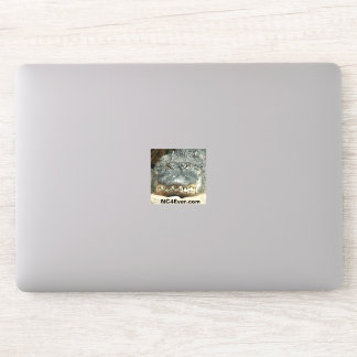 Adesivo Alligator Laptop Sticker from NC4Ever.com