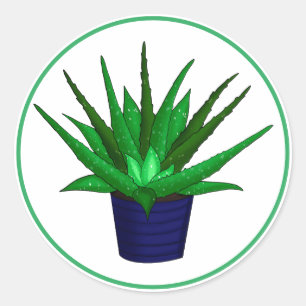 Adesivo Aloe Vera Dobra De Arte Familiar