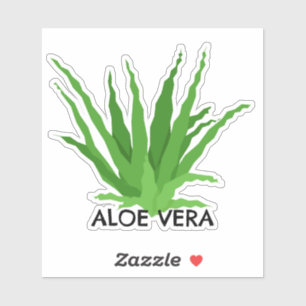 Adesivo Aloe vera Green Succulent