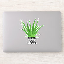 Aloe vera Succulent, fresca e feroz