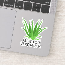 Aloe Vera Suculenta Em Você Muito