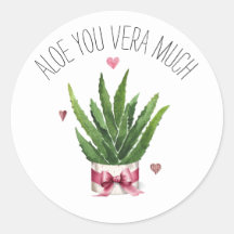 Aloe You Vera Muita Namorados De Sala De Aula Pun