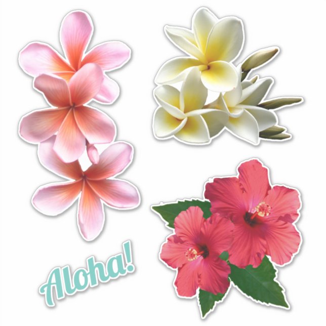 Adesivo Aloha Hawaiian Flowers Plumeria Hibiscus  (Frente)