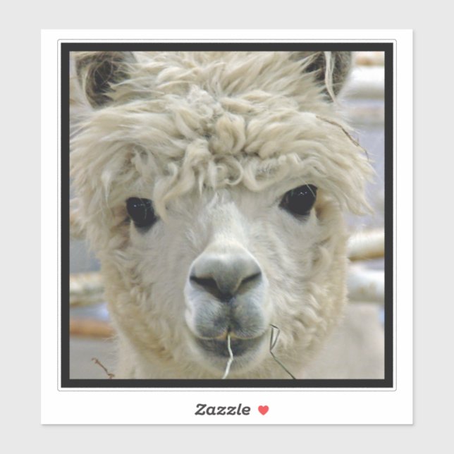 Adesivo Alpaca (Folha)
