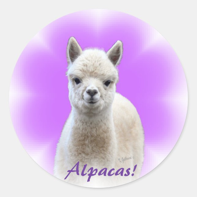 Adesivo Alpaca Hope Stickers (Frente)