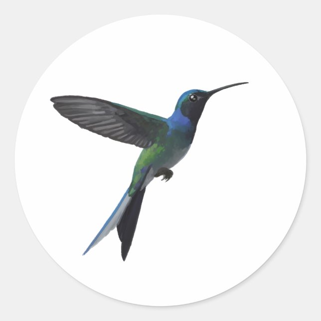 Adesivo Amante de Beija-flor (Frente)
