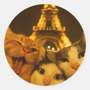 Adesivo Amante do Grupo de Selfie de Gato Noturno de Paris