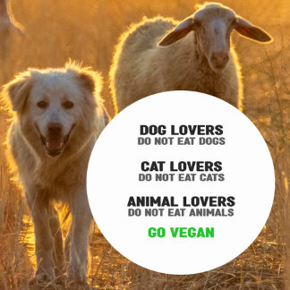Adesivo Amantes de os animais Não Comem Animais, Ativismo