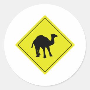 Adesivo amarelo australiano do roadsign do camelo