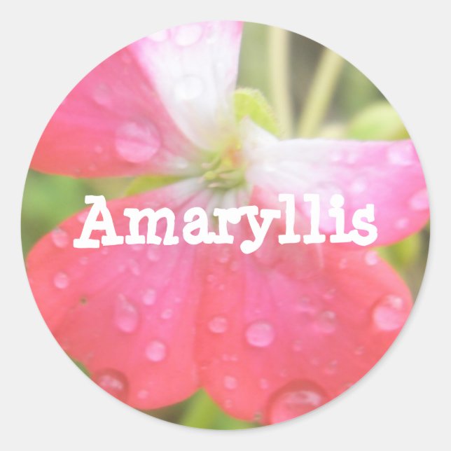Adesivo Amaryllis (Frente)