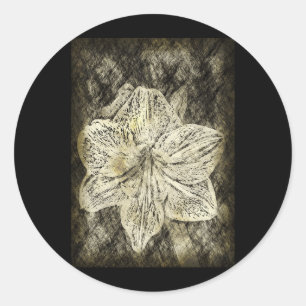 Adesivo Amaryllis Antiga Descrição