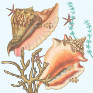 Adesivo Amêijoas de Starfish, vinil Stickers