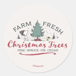Adesivo Amendoins Árvores de Natal Frescas da Fazenda