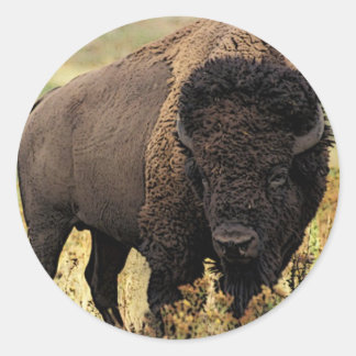 Adesivo American Bison