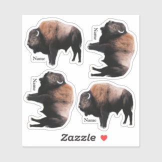 Adesivo American Brown Buffalo com nomes Sticker