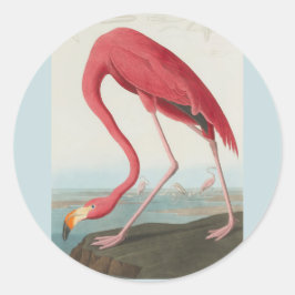 Adesivo American Flamingo, por John James Audubon 1838