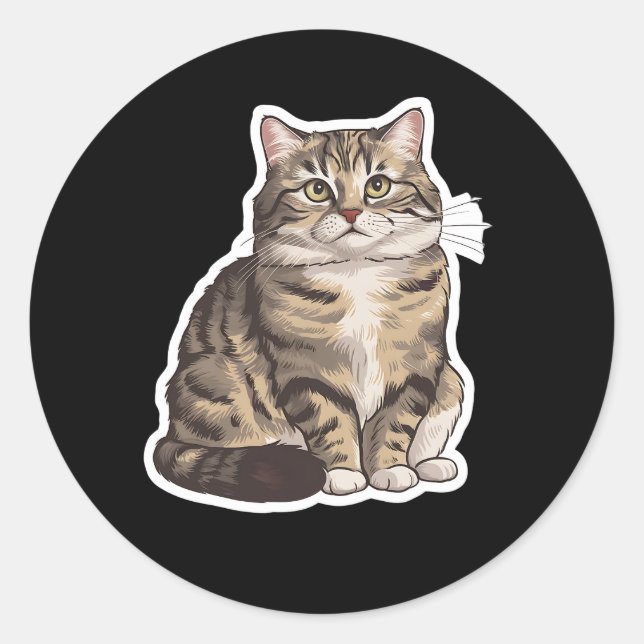 Adesivo American Shorthair (Frente)