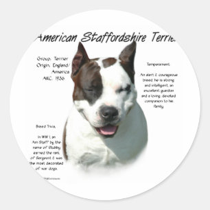 Adesivo American Staffordshire Terrier History,