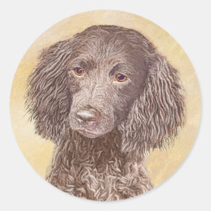 Adesivo American Water Spaniel Painting - Arte Original de