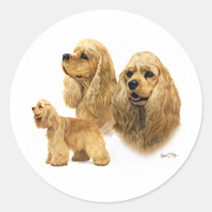Adesivo Americano cocker spaniel