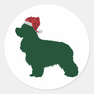 Adesivo Americano cocker spaniel