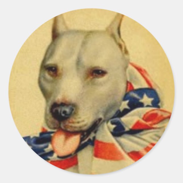 ADESIVO AMERICANO PIT BULL TERRIER STICKER (Frente)