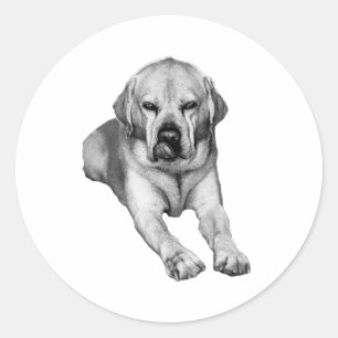 Adesivo Amigo Steadfast em Tinta