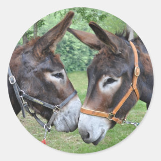 Adesivo Amigos burros