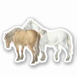 Adesivo Amizade de Cavalo Tem Suas Costas Vintage Equestre